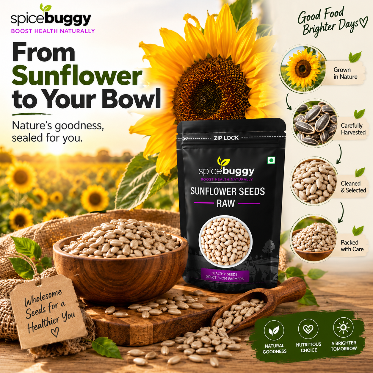 04 SpiceBuggy Sunflower Seeds