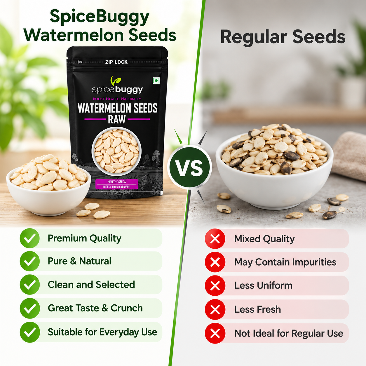 08 SpiceBuggy vs Regular Seeds