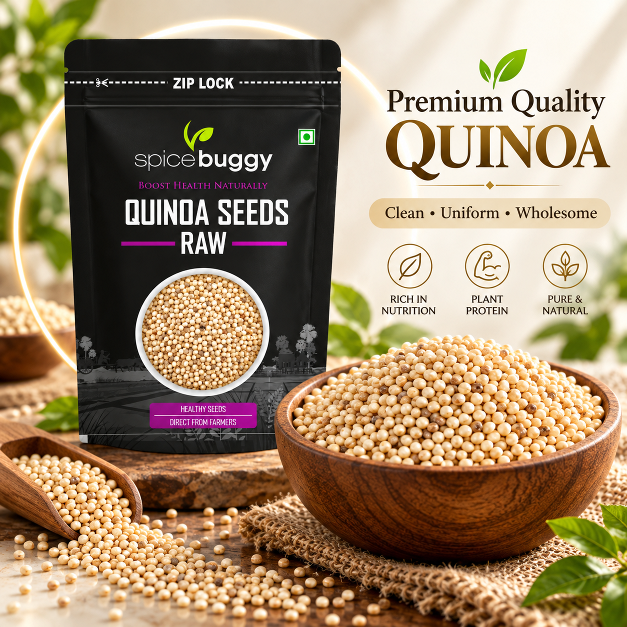 02 Quinoa Premium Showcase